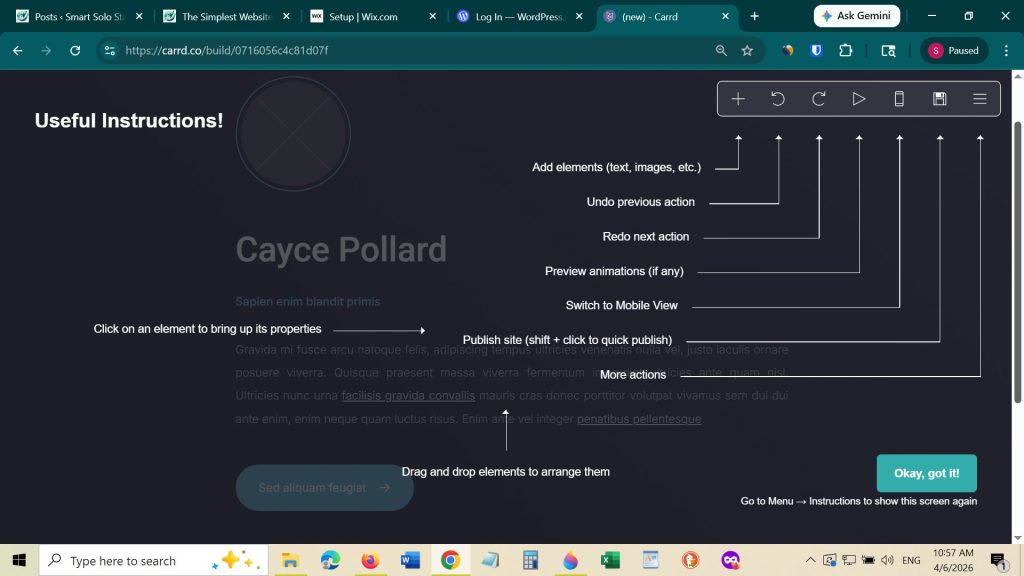 Carrd's easy design options explained